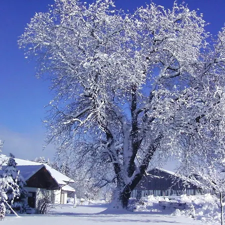 Farm stay Schnaiterhof *