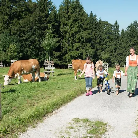Farm stay Schnaiterhof Siegsdorf